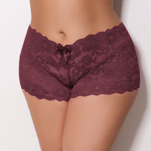 Caleçon Renda Plus Size - Image 4