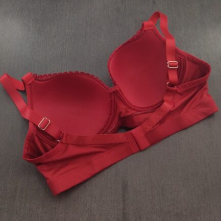 Sutiã Plus Size Sarana - Image 9